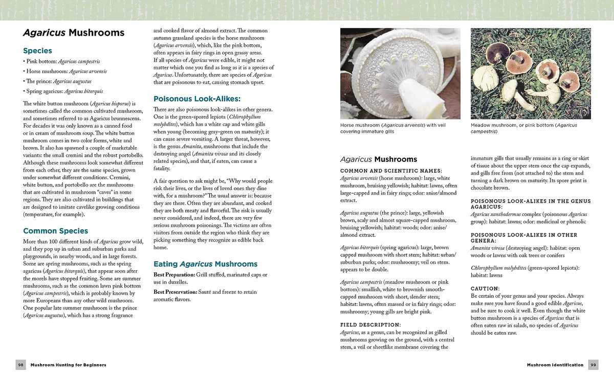 Mushroom Hunting for Beginners: A Starter's Guide to Identifying and Foraging Fungi (New Shoe Press)