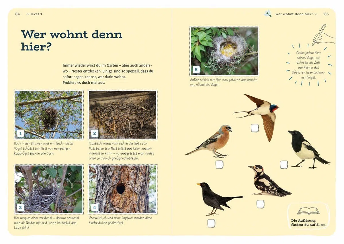 Dein Projekt. Dein Guide. Gartenvögel einladen & verwöhnen: from zero to hero