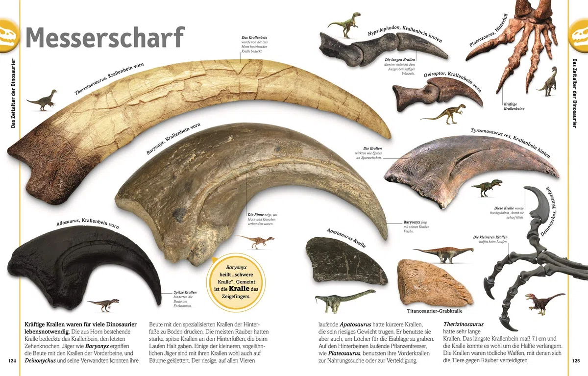 Unsere Welt in 1000 Bildern. Dinosaurier: Lebewesen und Fossilien der Urzeit. Dinos spektakülar und reich bebildert erklärt. Für Kinder ab 7 Jahren