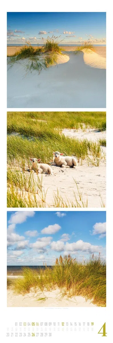 Nature Triplet-Kalender 2026 | Stilvoller Natur-Kalender im schlanken Hochformat (33x100 cm) | Triplet-Fotografie im Premium-Format