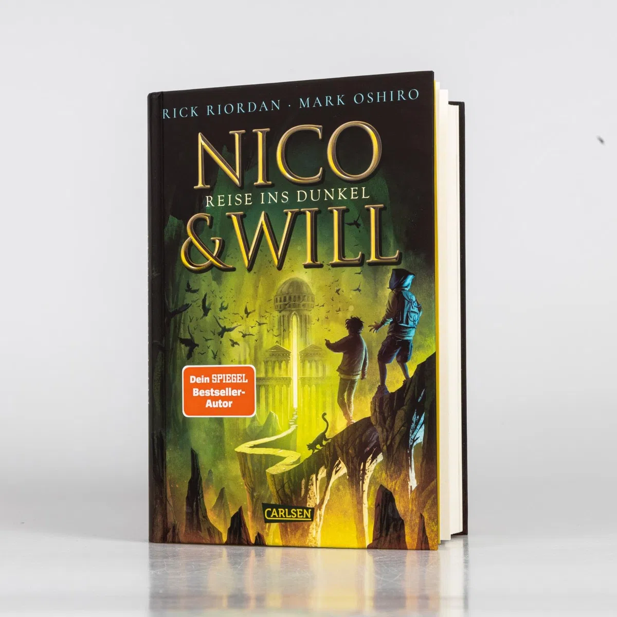 Nico und Will – Reise ins Dunkel: Fantasy-Abenteuer ab 14 Jahren über ein queeres Paar, griechische Mythen und eine unheilvolle Prophezeiung