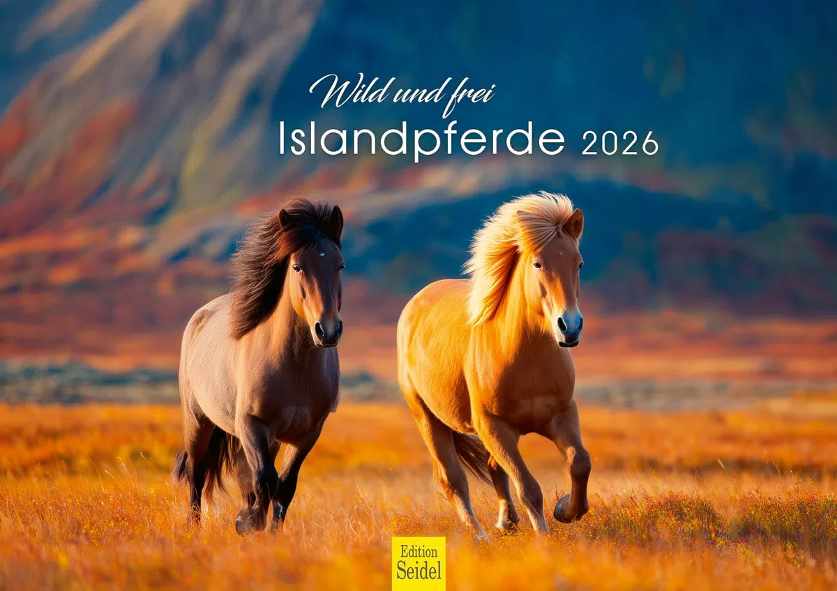 Edition Seidel Premium Kalender Wild und frei Islandpferde 2026 Format DIN A3 Wandkalender Pferdekalender Isländer Island Tiere Pony Stute Hengst Fohlen