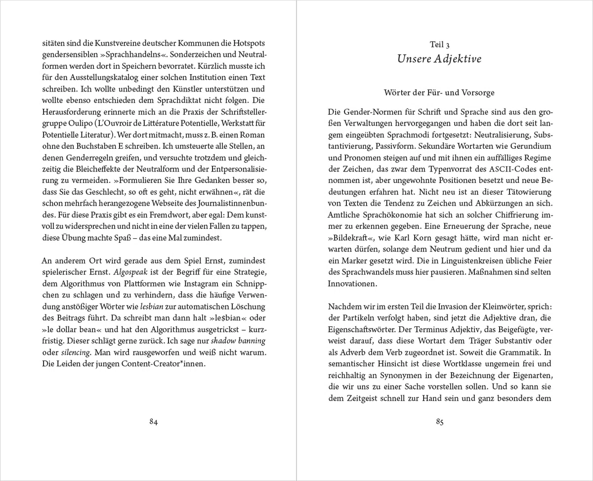 Irgendwie so total spannend: Unser schöner neuer Sprachgebrauch (Essays)