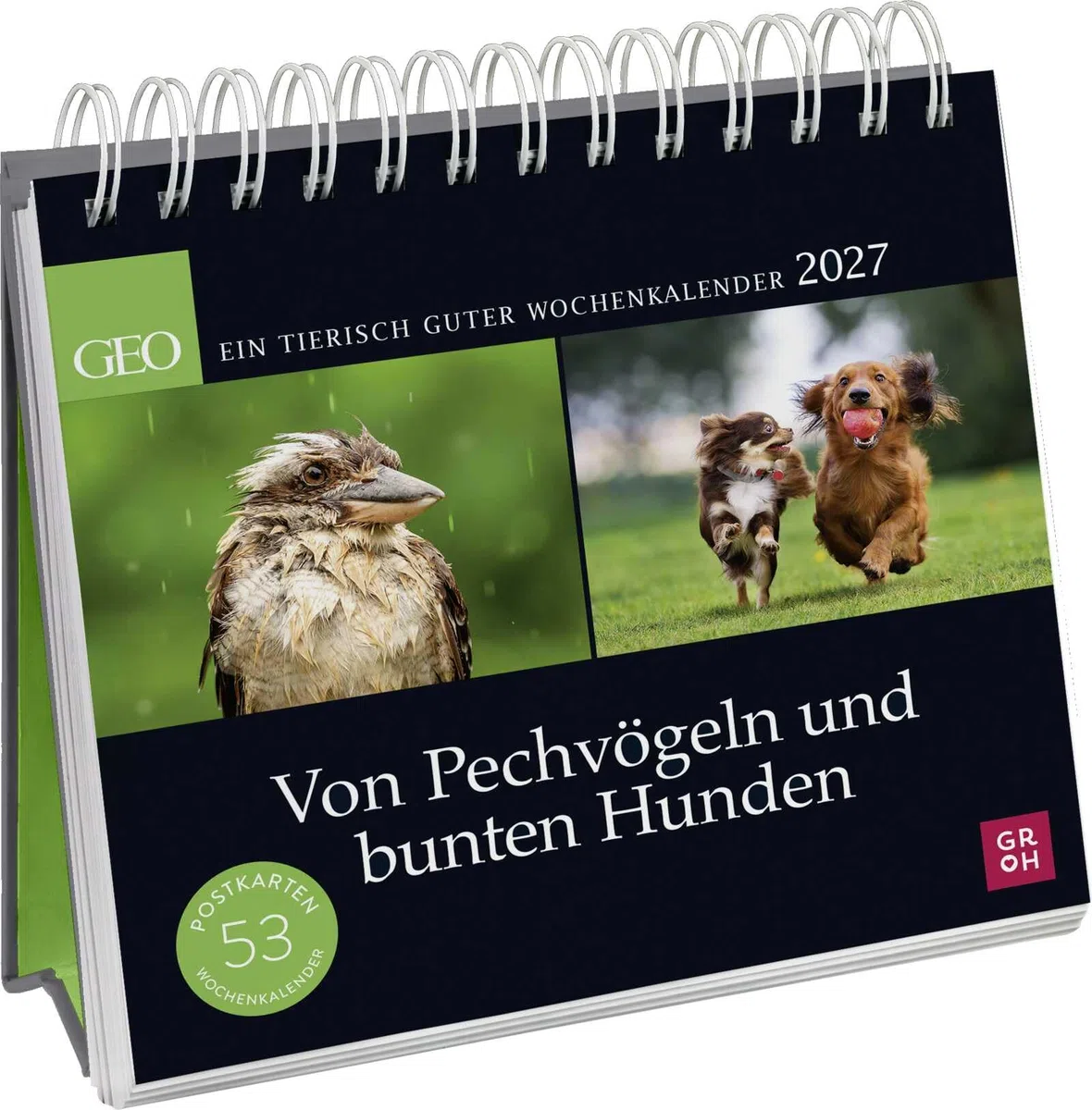 Postkartenkalender 2027: Von Pechvögeln und bunten Hunden: Ein tierisch guter Wochenkalender | Zum Aufstellen, Tischkalender mit Spiralbindung und 53 Postkarten zum Heraustrennen