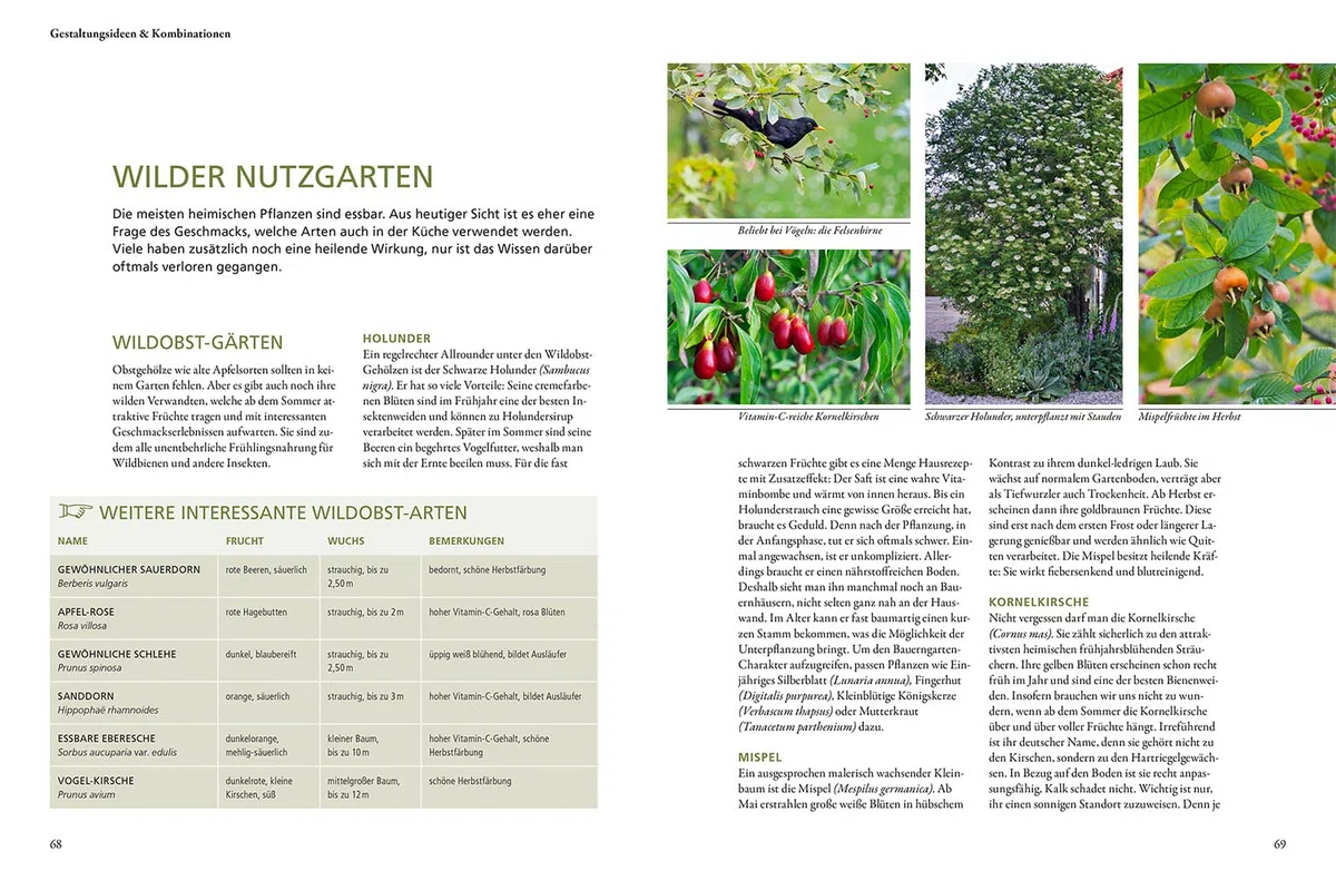 Wild & bunt: Naturnahe Gärten mit heimischen Pflanzen gestalten. Mit 20 Musterbeeten für echte Naturgärten