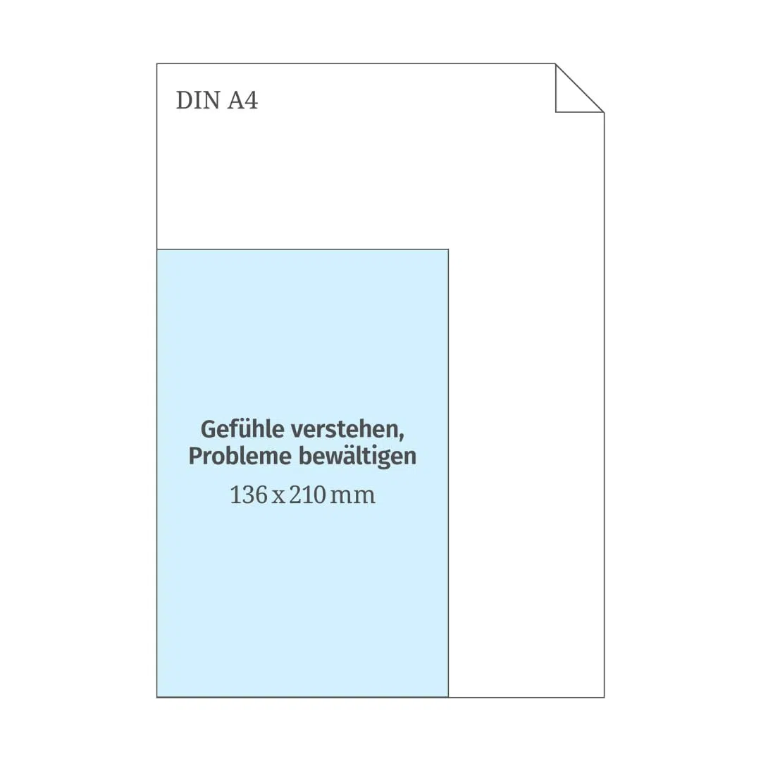 Gefühle verstehen, Probleme bewältigen: Eine Gebrauchsanleitung für Gefühle