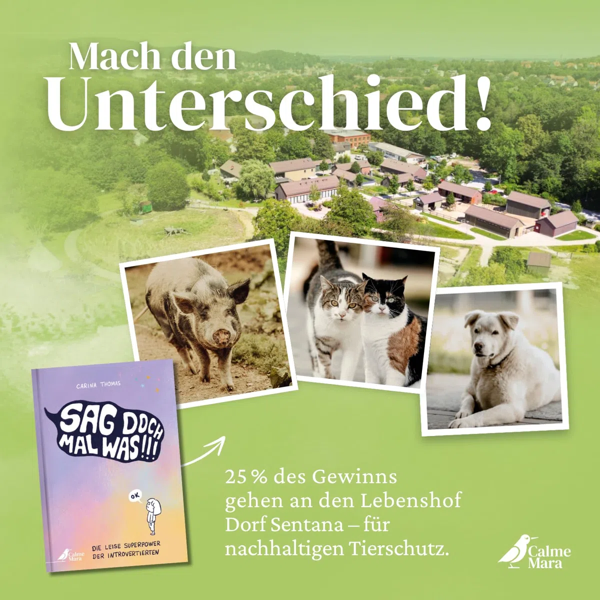 Sag doch mal was!: Der humorvolle Sach-Comic über die leise Superpower der Introvertierten ermutigt und informiert Kids ab 10