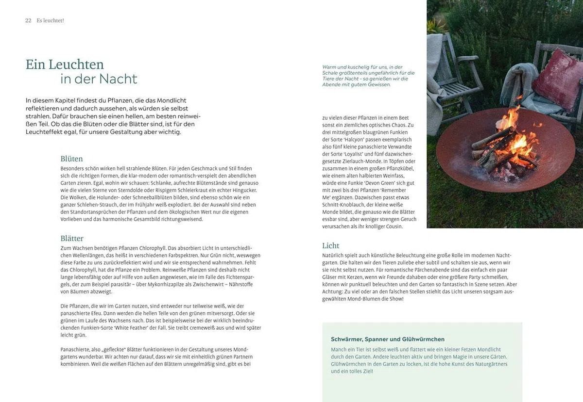 Der Nachtgarten: Pflanzen und Beete, die duften, leuchten und die Nacht beleben