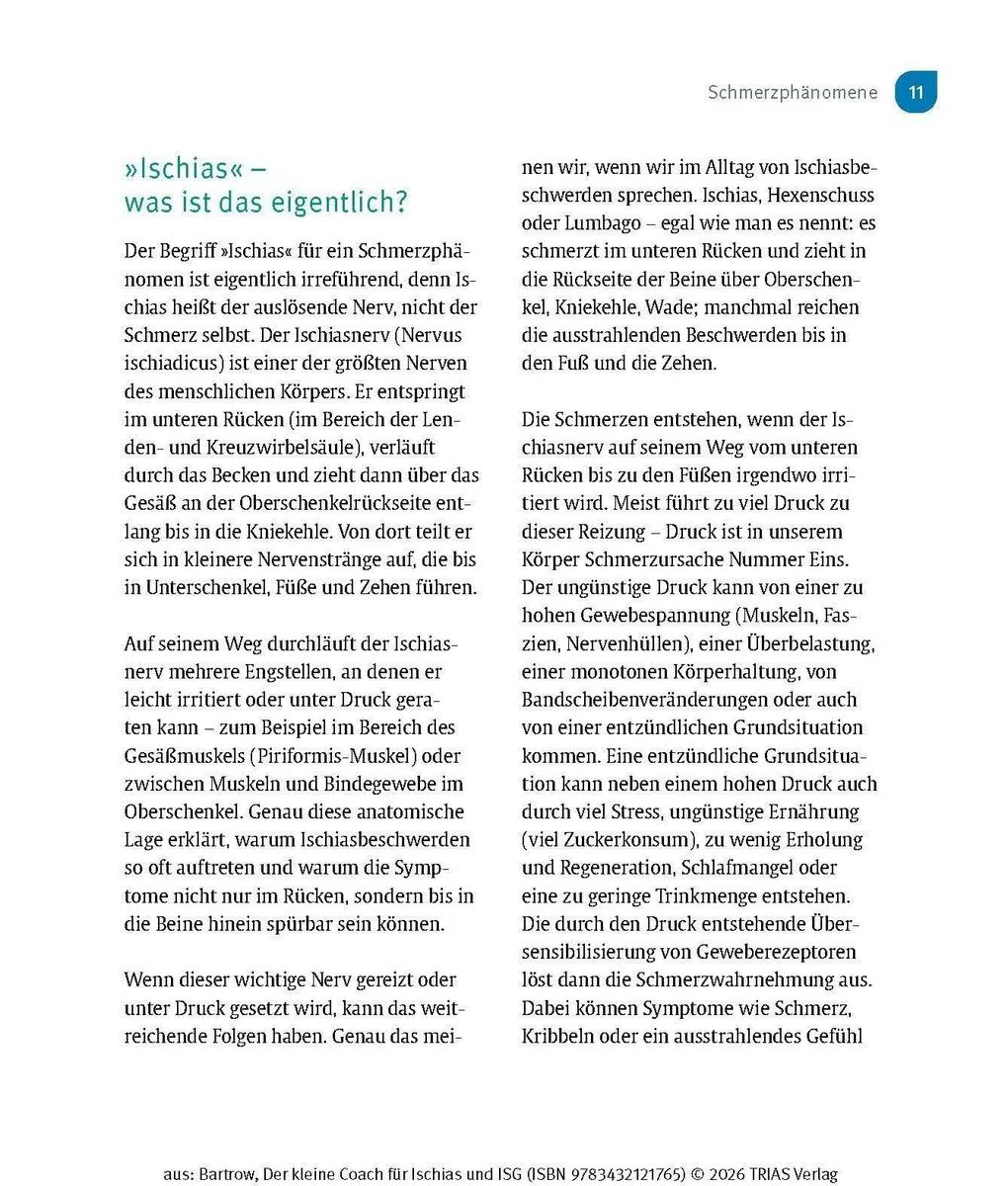 Der kleine Coach für Ischias und ISG: Die besten Übungen gegen Schmerzen und Steifigkeit