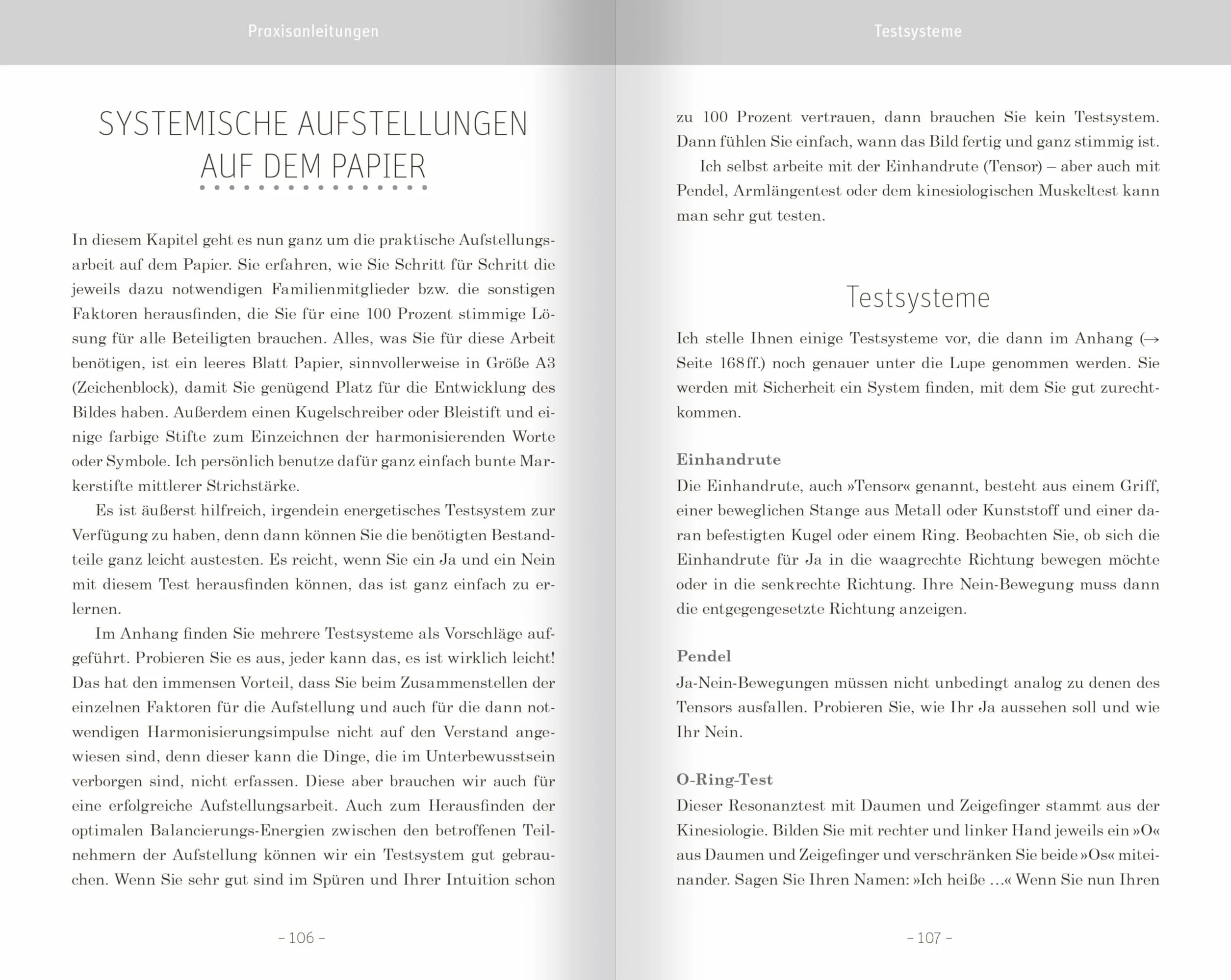 Familienstellen mit Symbolen. Optimale systemische Lösungen auf dem Papier entwickeln: Mit hilfreichen Checklisten und harmonisierenden Affirmationen
