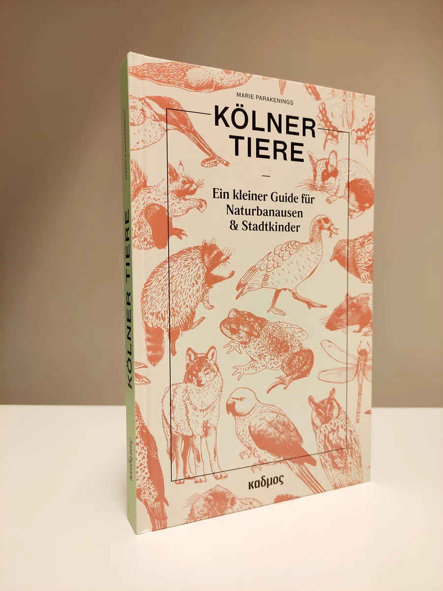 Kölner Tiere: Ein kleiner Guide für Naturbanausen und Stadtkinder