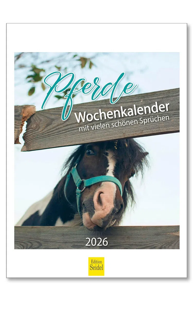 Edition Seidel Premium Kalender Pferde Wochenkalender 2026 Format DIN A4 Wandkalender Pferdekalender mit vielen Bildern und schönen Sprüchen Tiere Pferd Stute Fohlen