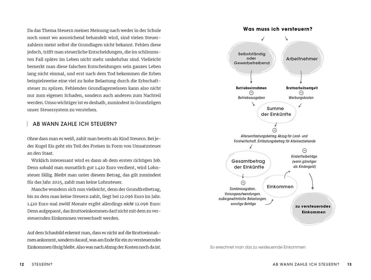 Sei doch nicht besteuert: Mit Steuerfabi die Welt der Steuern verstehen und richtig Geld sparen | Erweiterte und vollständig aktualisierte Ausgabe | Für die Steuererklärung 2025
