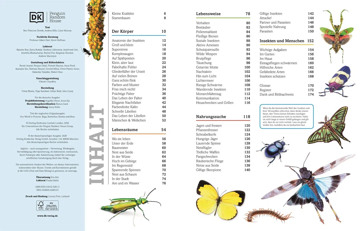 Unsere Welt in 1000 Bildern. Insekten: Käfer, Spinnen, Schmetterlinge und Skorpione. Die Welt der Gliederfüßer einfach erklärt. Für Kinder ab 8 Jahren