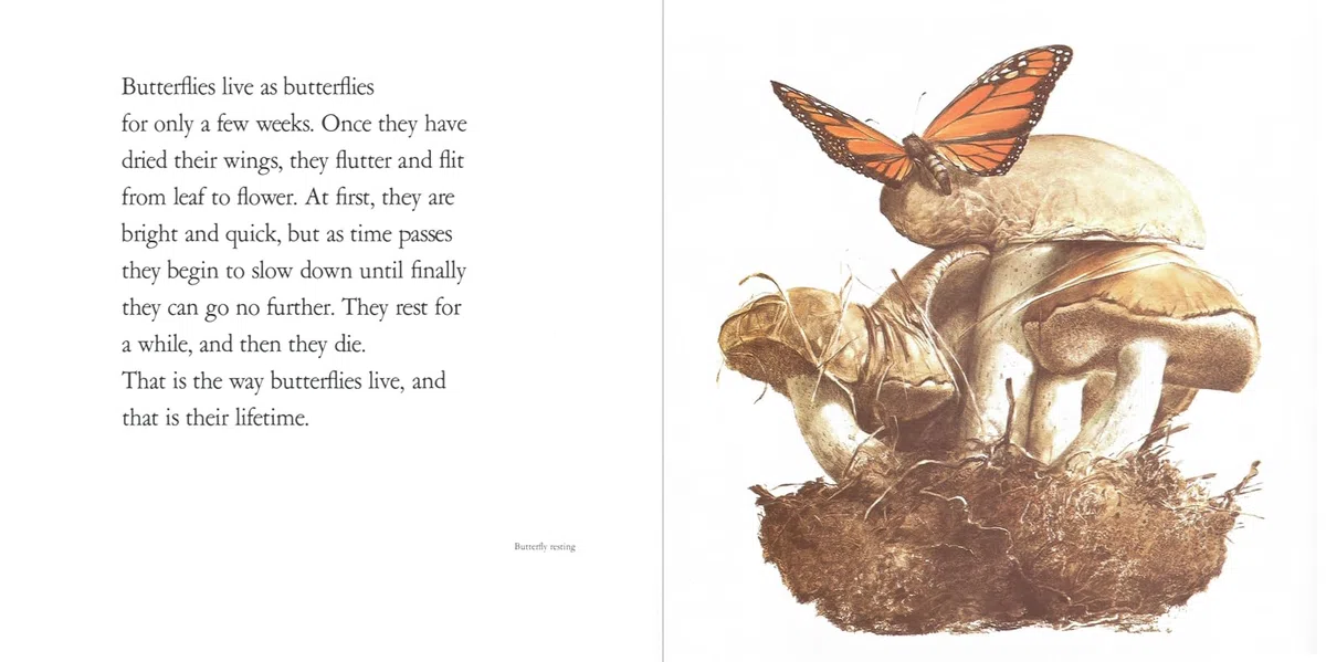 Lifetimes: The Beautiful Way to Explain Death to Children