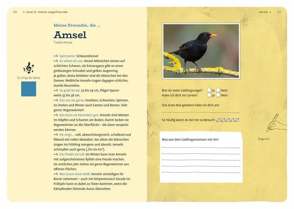 Dein Projekt. Dein Guide. Gartenvögel einladen & verwöhnen: from zero to hero