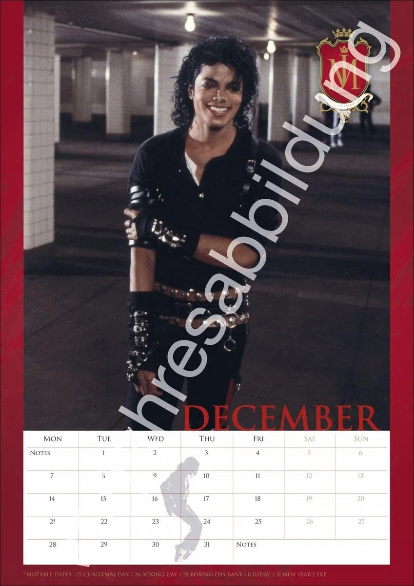 Michael Jackson Posterkalender 2027: Musikalische Begleitung durch das ganze Jahr mit der Pop-Legende Michael Jackson als Wandkalender.