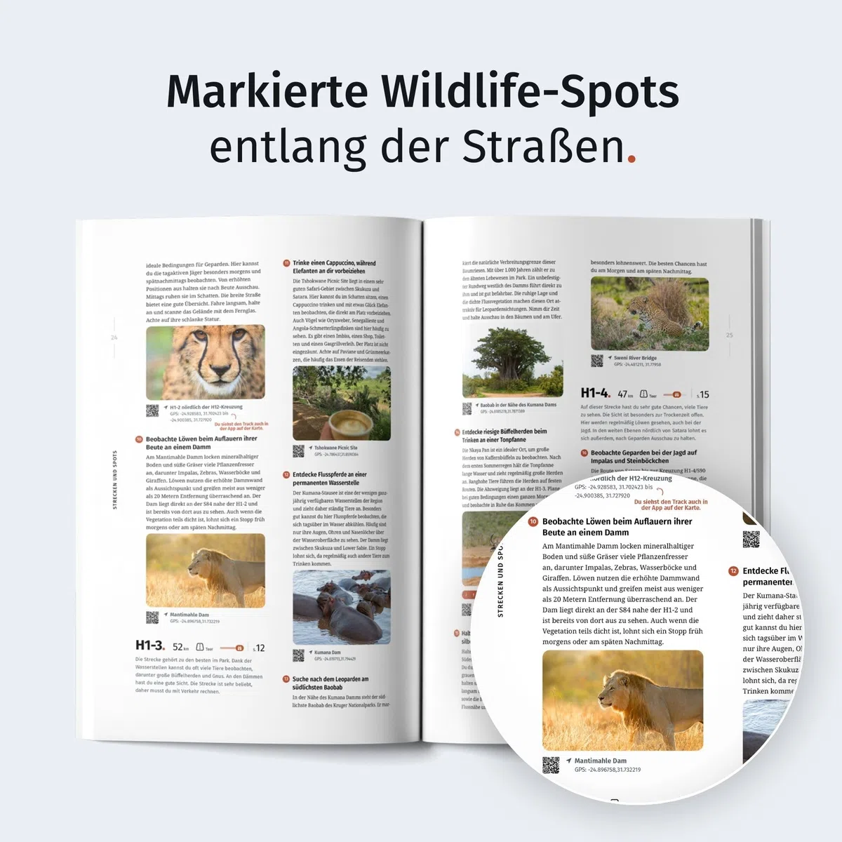 WILDFUL STORIES Kruger Park Guide: Detaillierte Parkkarten für Selbstfahrer mit Streckenbewertungen und konkreten Spots für unvergessliche Safaris (inkl. App) (Park Guides)