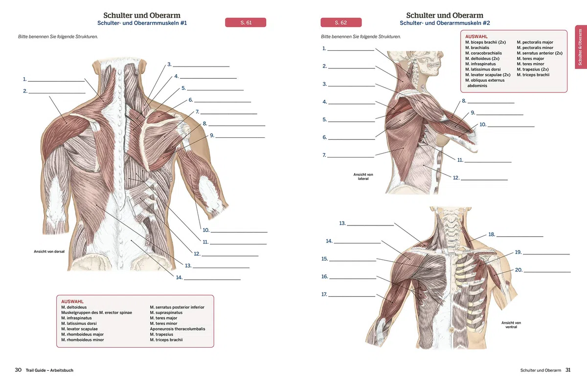 Trail Guide Arbeitsbuch: Eine praxisorientierte Lernhilfe für die Anatomie