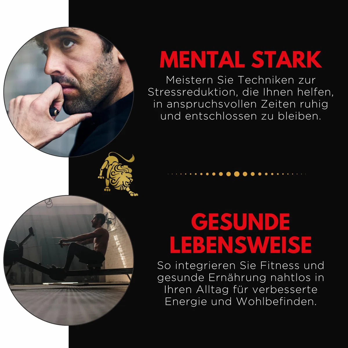 Der Mann, der alles haben kann – Die 4 Säulen moderner Alpha-Männlichkeit: Mehr Geld, Erfolg und glückliche Beziehungen durch Charakterstärke, Selbstbewusstsein und die Kunst positiver Routinen