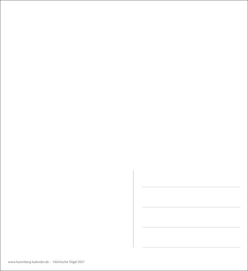 Heimische Vögel Postkartenkalender 2027 - Wochenkalender mit 53 Postkarten: Wochenkalender im Postkarten-Format mit Vogelporträts. Tischkalender mit ... neuen Postkarten zum Sammeln und Verschicken