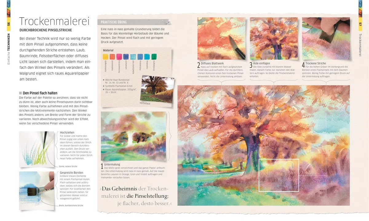 Meisterschule Aquarell: Materialien, Motive, Stile. Alle Techniken Schritt für Schritt