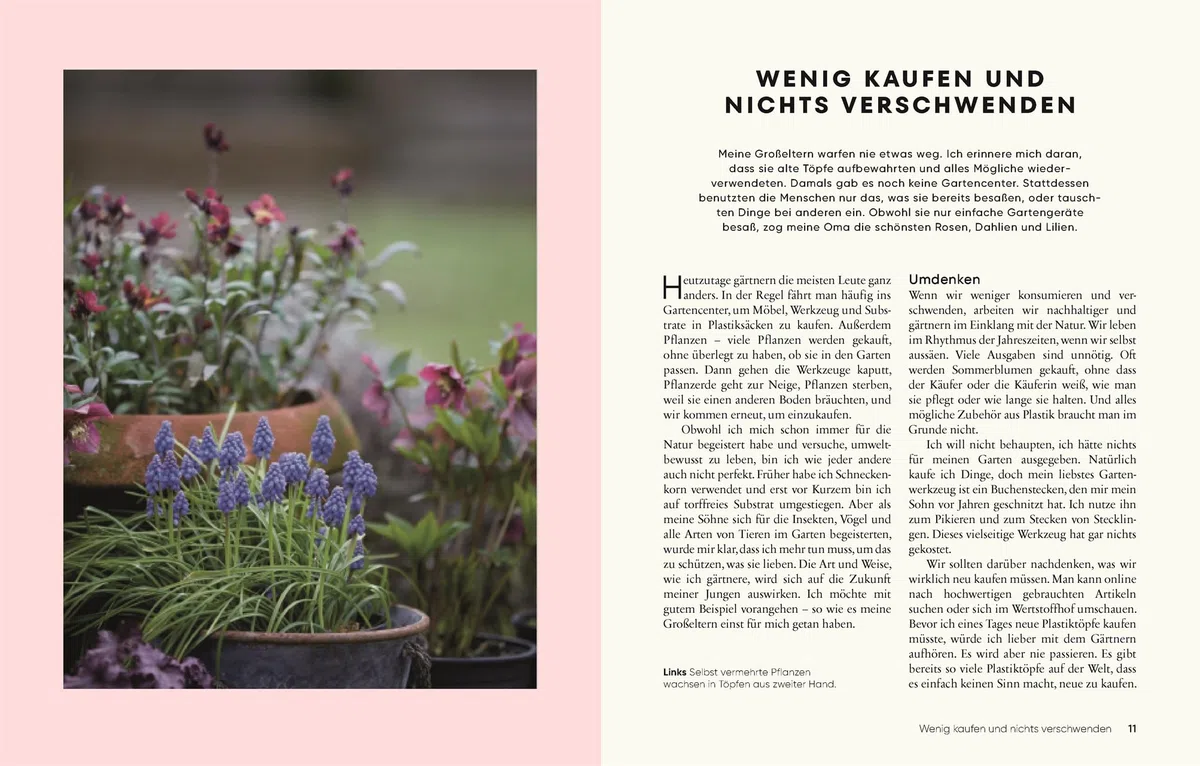 Gärtnern für wenig Geld: Gestaltungs- und Pflanzideen für einen preiswerten und naturnahen Traum-Ziergarten. Von Garten-Influencerin Anya the Garden Fairy