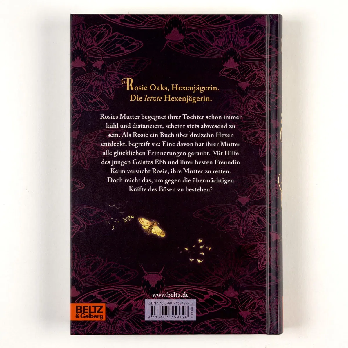 Thirteen Witches - Die Erinnerungsdiebin: Band 1 der Reihe 13 Witches (Thirteen Witches, 1)