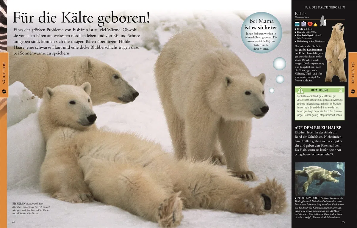 Wissen für clevere Kids. Tiere für clevere Kids: Lexikon mit 1500 farbigen Fotos und Illustrationen für Kinder ab 8 Jahren
