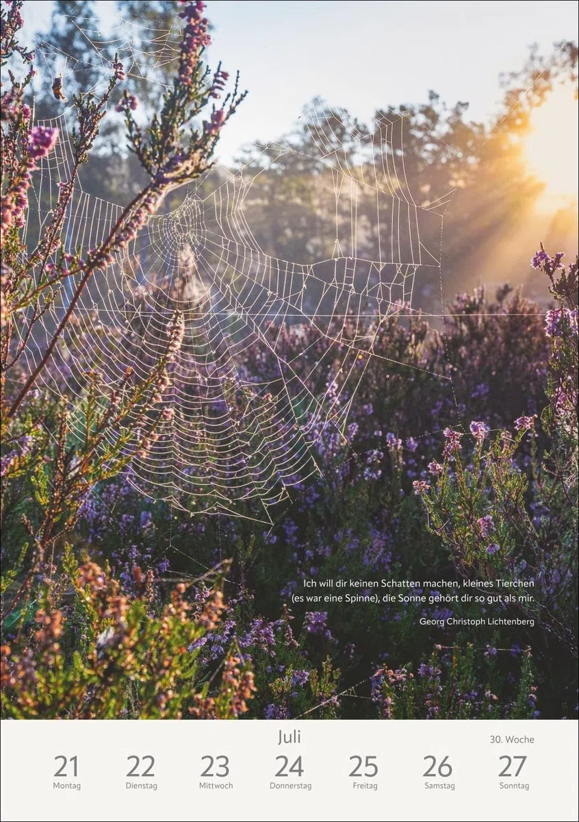 Literaturkalender Natur Wochen-Kulturkalender 2025: Jede Woche neue Landschaftsaufnahmen mit literarischen Zitaten in einem Foto-Wandkalender (Wochenplaner Harenberg)