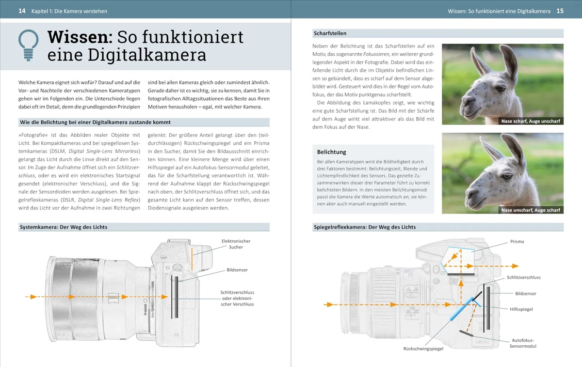 Fotografieren für Einsteiger: Einfach fotografieren lernen. Der praktische Fotokurs für Anfänger (neue Auflage 2023)