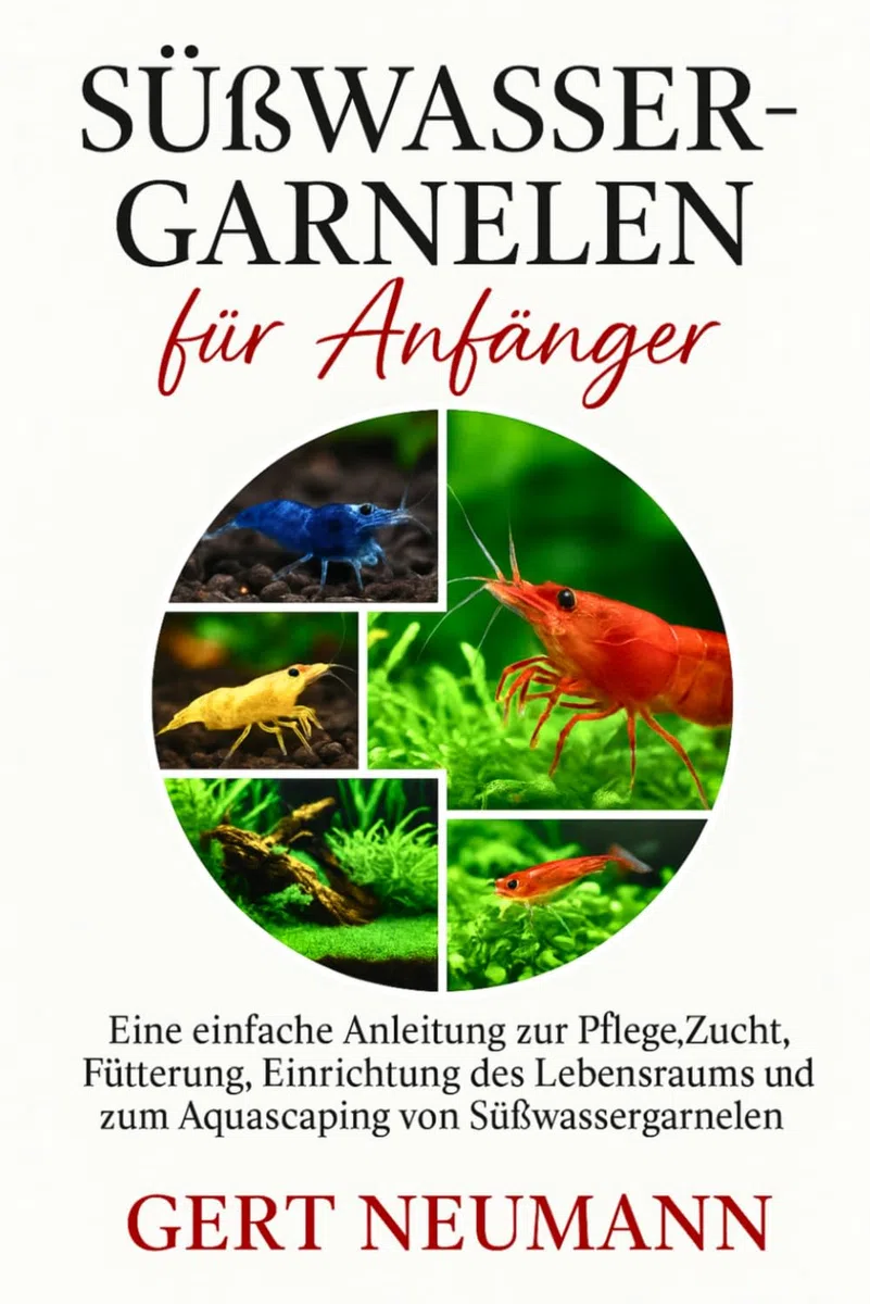 Süßwassergarnelen für Anfänger: Eine einfache Anleitung zur Pflege, Zucht, Fütterung, Einrichtung des Lebensraums und zum Aquascaping von Süßwassergarnelen