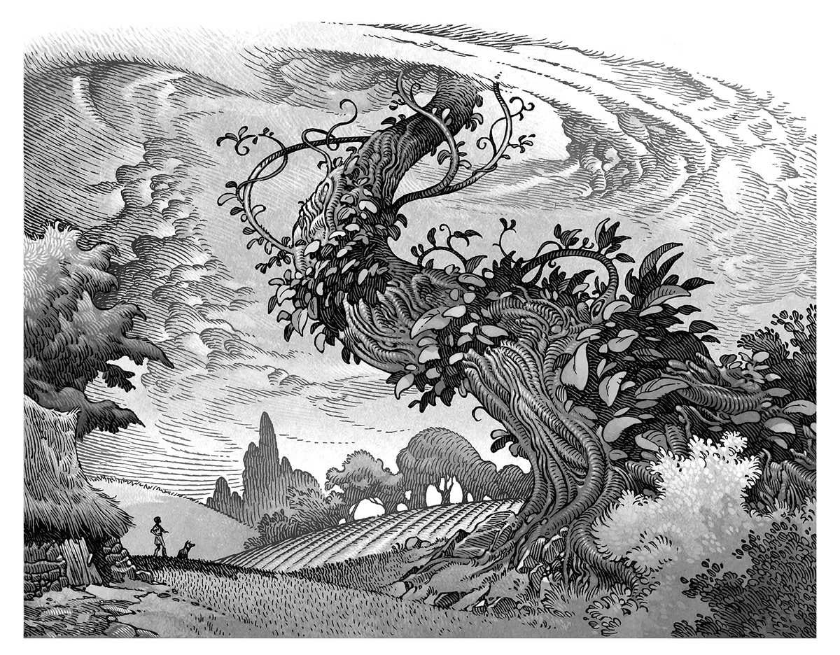 Fairy Tale: Roman - Durchgehend illustrierte Ausgabe (33 schwarz-weiße Bilder und zwei vierfarbige Tafeln)