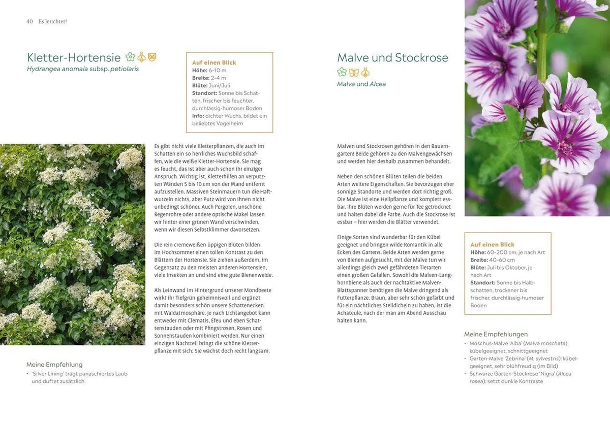 Der Nachtgarten: Pflanzen und Beete, die duften, leuchten und die Nacht beleben