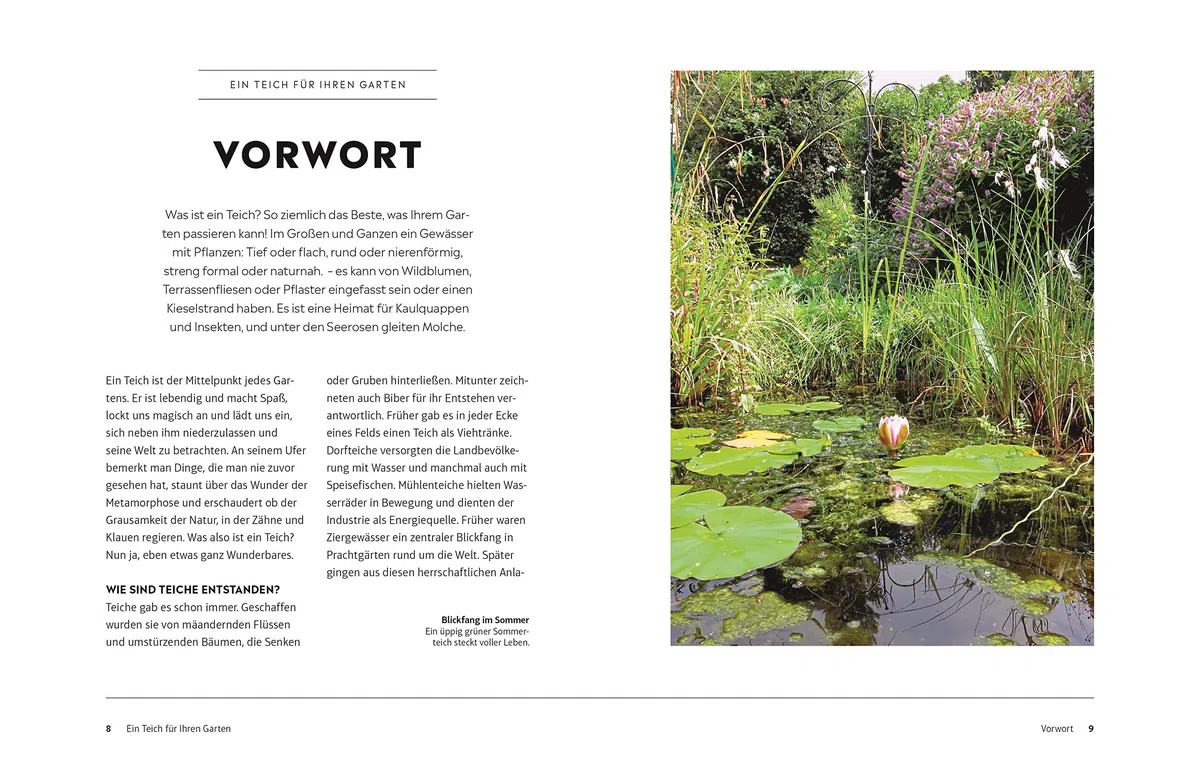 Leben am Gartenteich: Einen Teich planen, anlegen und Tiere und Pflanzen beobachten