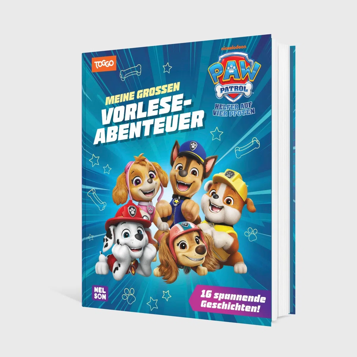 PAW Patrol Geschichtenbuch: Meine großen Vorleseabenteuer: 16 spannende Geschichten! | Neue Vorlesegeschichten aus der Serie mit Chase, Skye, Marshall und den Fellfreunden ab 3 Jahren