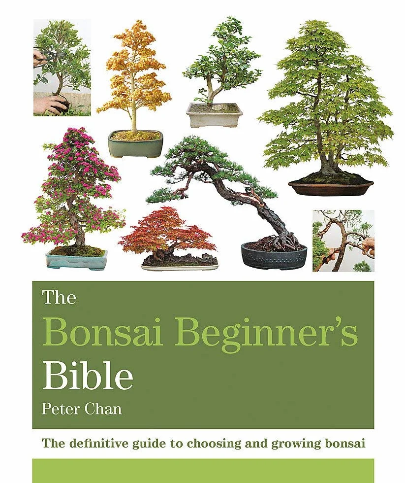 The Bonsai Beginner's Bible: The definitive guide to choosing and growing bonsai (Octopus Bible Series)