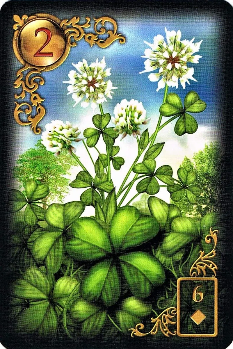 Gilded Reverie Lenormand: Mit 8 Zusatzkarten und Booklet: Mit Zusatzkarten und Booklet