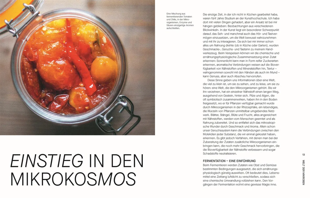 Fermentieren. Rezepte und Techniken für Geschmack, den man nicht kaufen kann: Kimchi, Kombucha, Miso und mehr. Fundiertes Wissen einfach erklärt