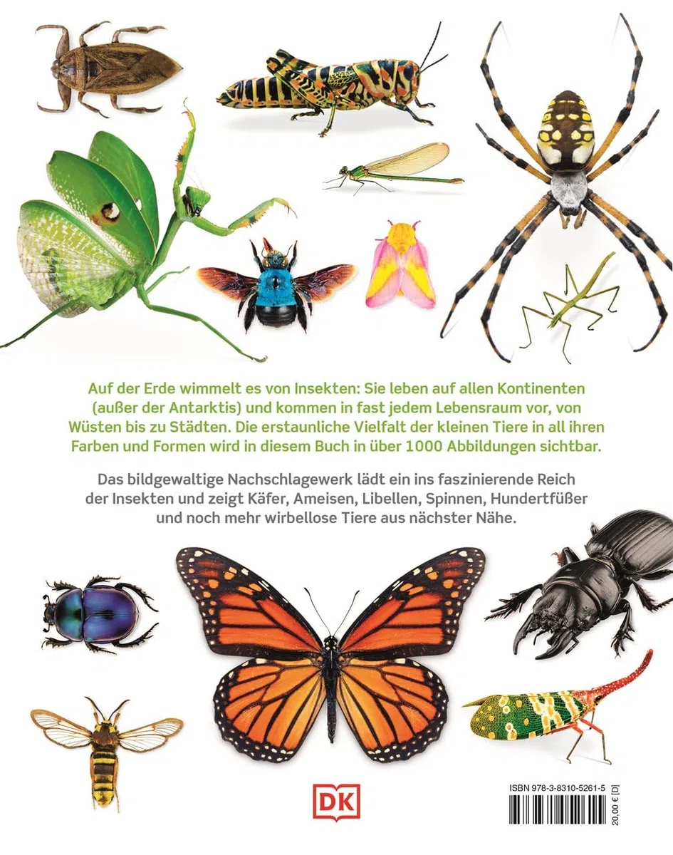 Unsere Welt in 1000 Bildern. Insekten: Käfer, Spinnen, Schmetterlinge und Skorpione. Die Welt der Gliederfüßer einfach erklärt. Für Kinder ab 8 Jahren