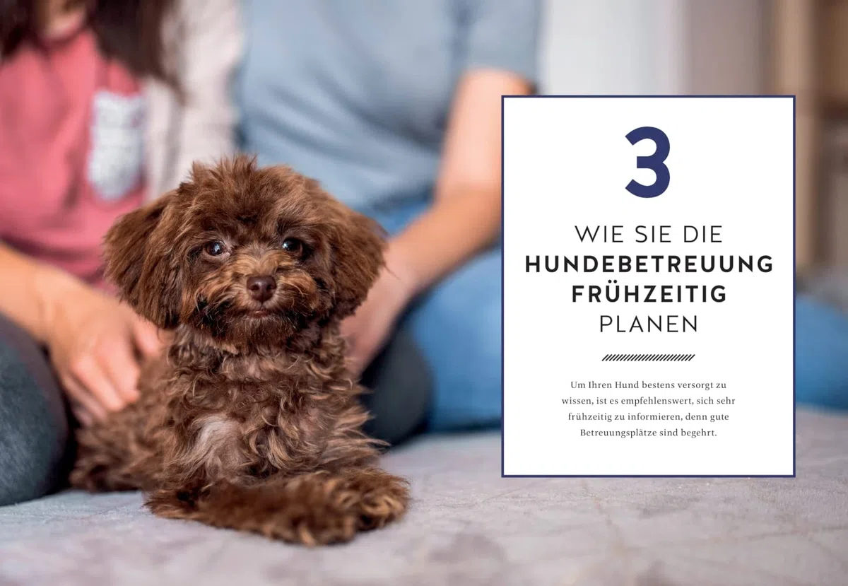 Wohin mit meinem Hund?: Perfekt betreut auf Zeit (GU Hunde)