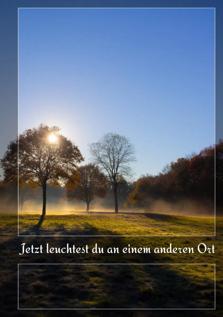 Jetzt leuchtest du an einem anderen Ort - Kondolenzbuch: Dampfende Wiese im Morgenlicht Hardcover zur Trauerfeier Gedenkbuch für Beileidsbekundungen