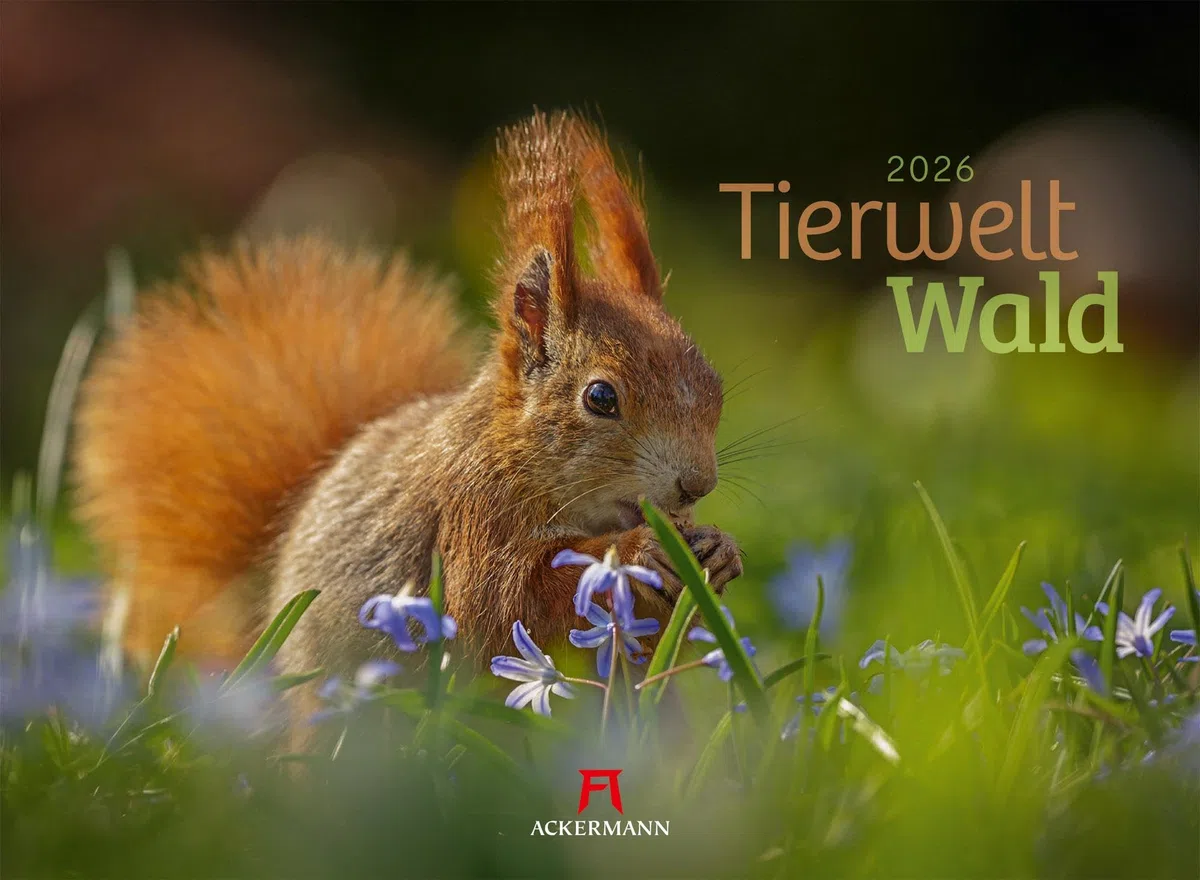 Tierwelt Wald Kalender 2026 | Bildstarker Tier-Kalender im Querformat (45x33 cm) | Heimische Wildtiere in ihrem Lebensraum