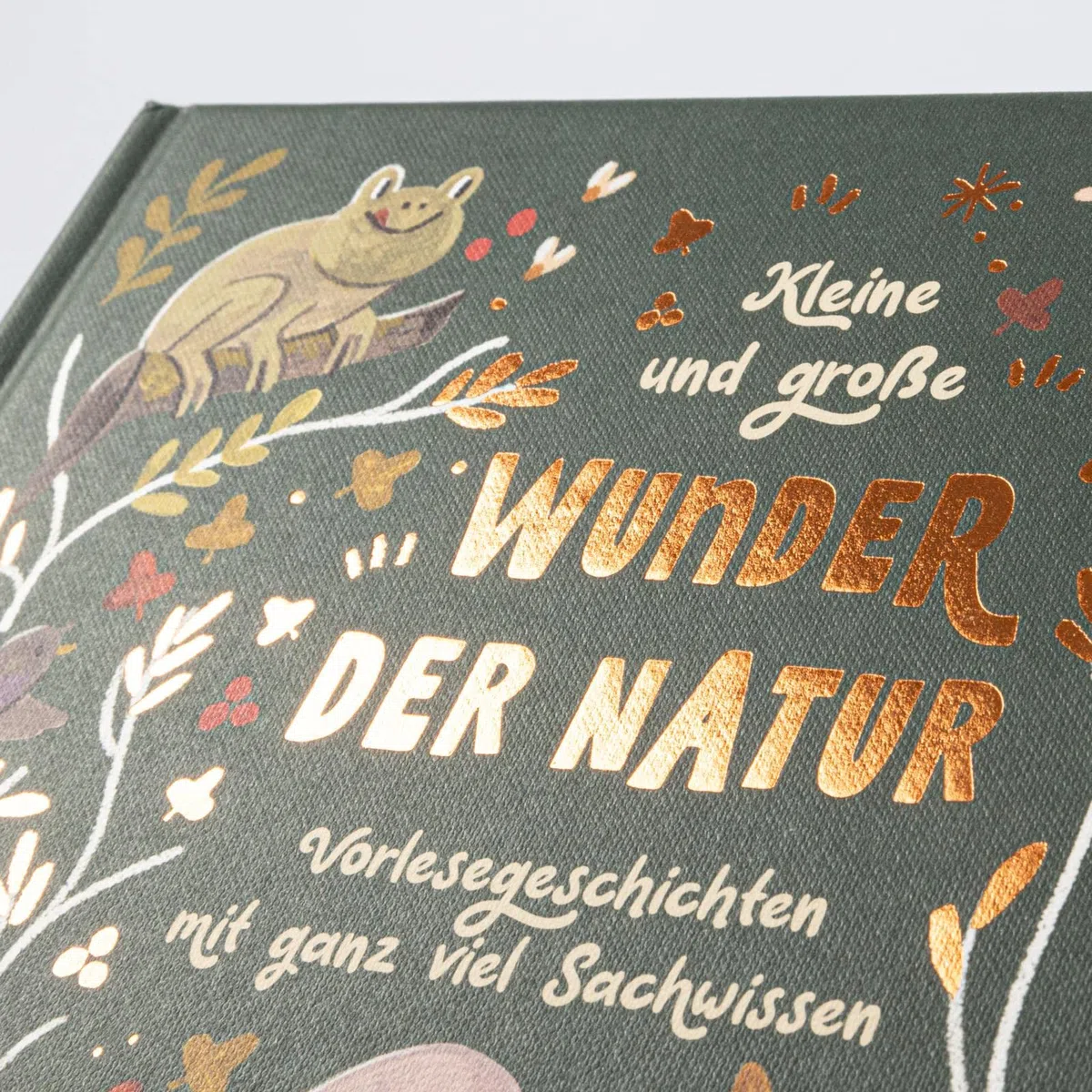Kleine und große Wunder der Natur: Vorlesegeschichten mit ganz viel Sachwissen | Achtsam die Natur entdecken für Kinder ab 4 Jahren