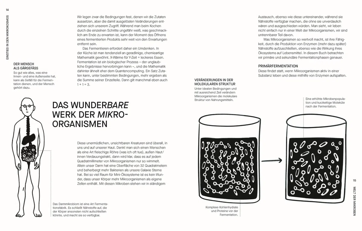 Fermentieren. Rezepte und Techniken für Geschmack, den man nicht kaufen kann: Kimchi, Kombucha, Miso und mehr. Fundiertes Wissen einfach erklärt
