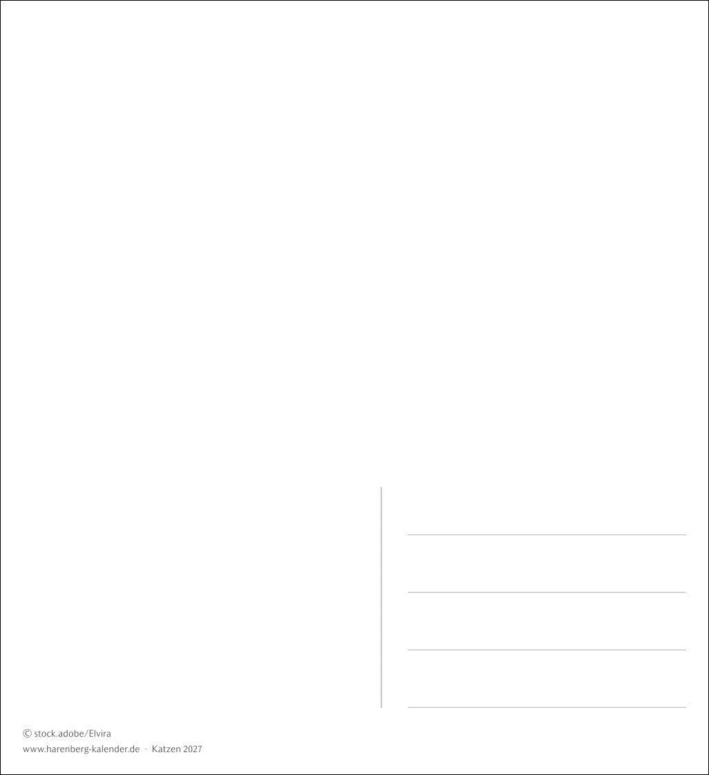 Katzen Postkartenkalender 2027 - Wochenkalender mit 53 Postkarten: Jede Woche ein süßes Kätzchen im Postkarten-Fotokalender. Tischkalender für Katzenfans