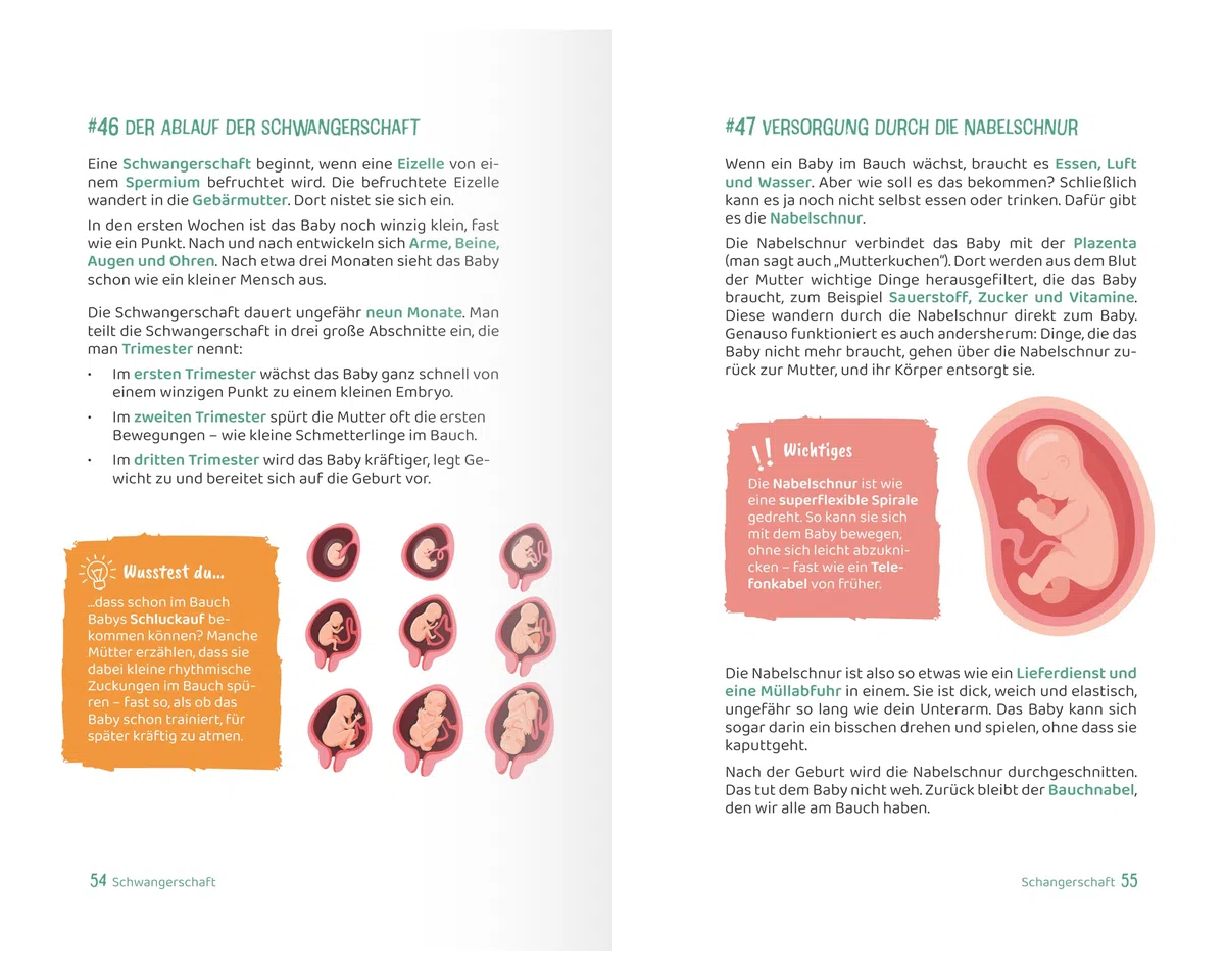 Peinlich war gestern! Aufklärung ab 8 Jahren mit 63 spannenden Fakten: Ein kindgerechtes Aufklärungsbuch für Mädchen und Jungen – über Körper, Gefühle, Pubertät und Selbstwert