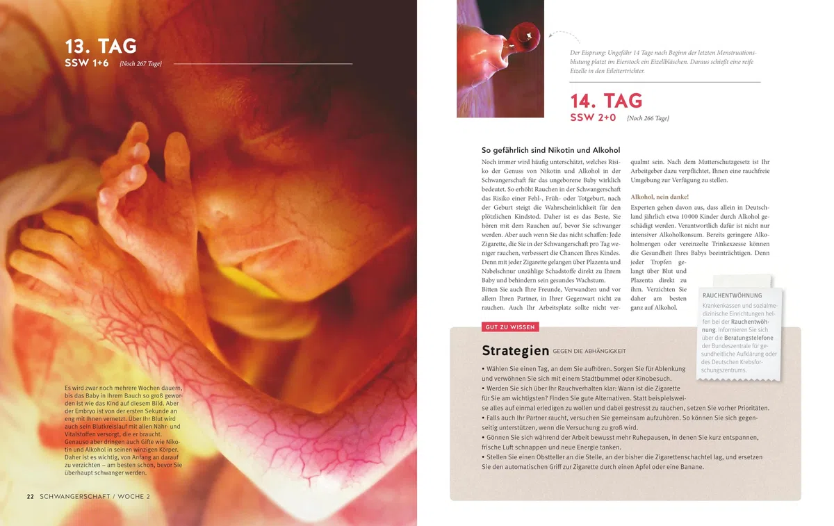 Tag für Tag durch meine Schwangerschaft: Der umfassende Schwangerschaftsbegleiter – Fachwissen, faszinierende Bilder & Tipps für werdende Eltern (GU Schwangerschaft)
