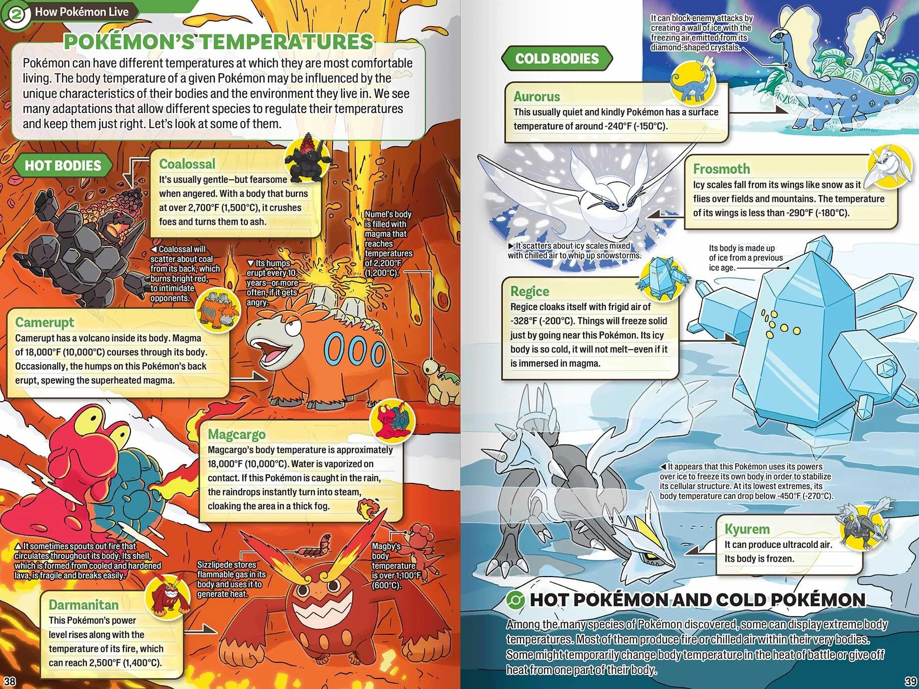 Pokécology An Illustrated Guide to Pokémon Ecology (Pokemon Pikachu Press)
