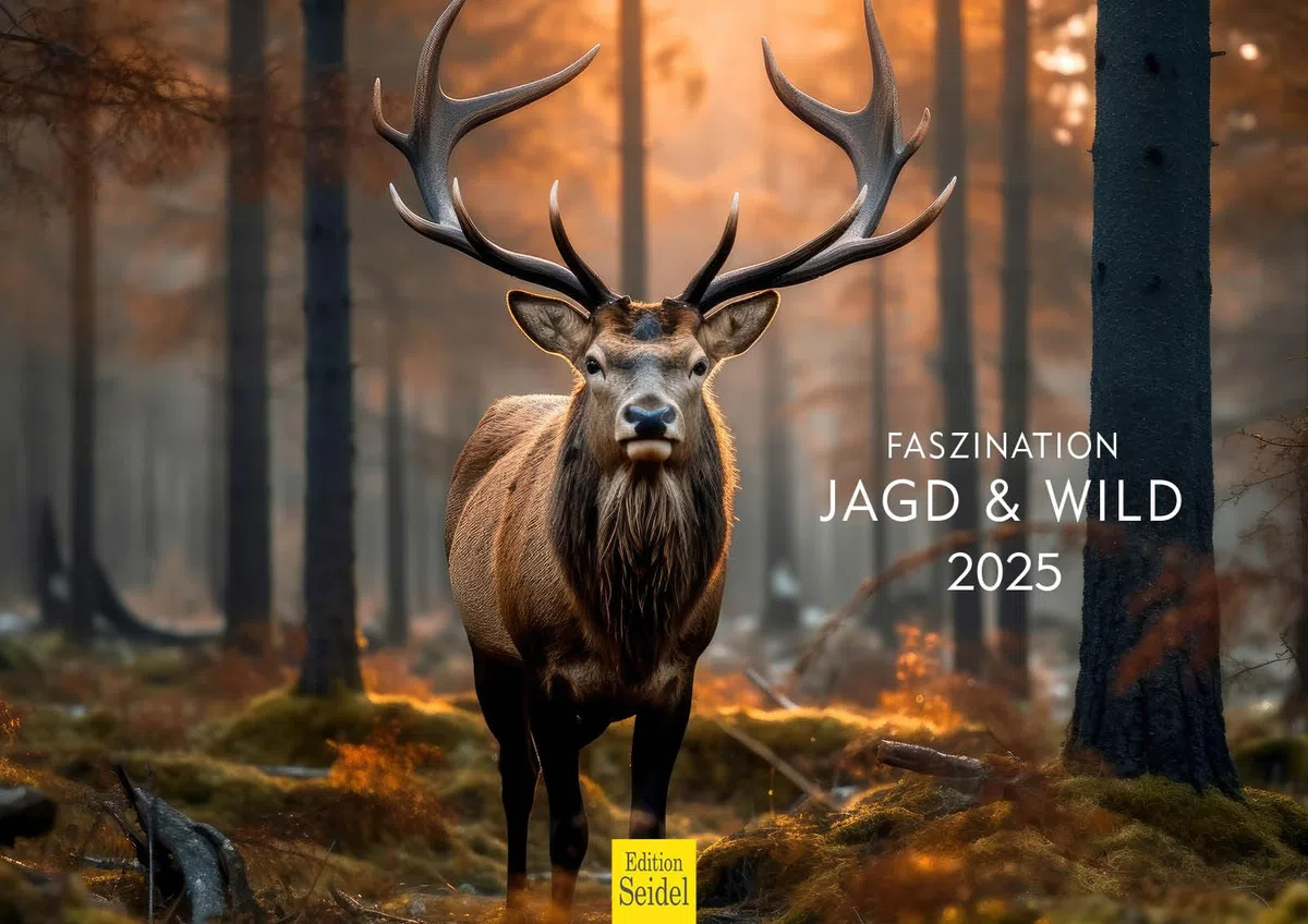 Edition Seidel Premium Kalender Faszination Jagd & Wild 2025 DIN A3 Wandkalender Natur Tiere Fuchs Hirsch Wildschwein Wildtier Waldtier Revier